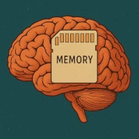 Simplified Brain Science - Curious Brain